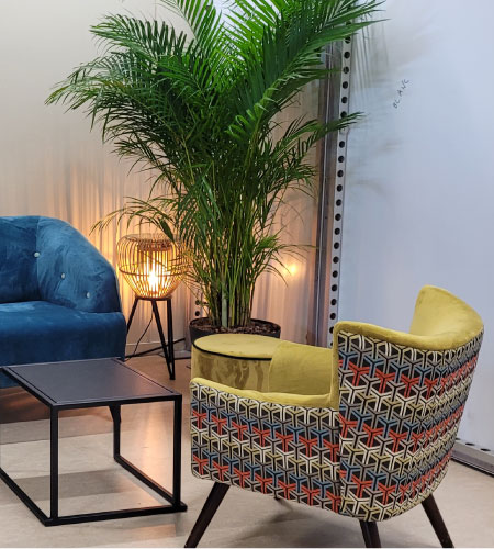 bobazar-mobilier-fauteuil-wayne-arcona-verveine-2